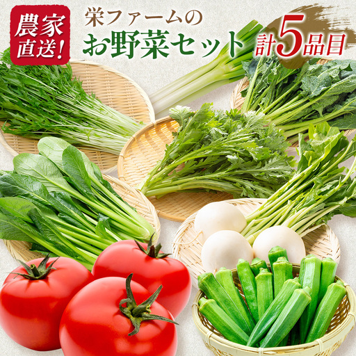 農家直送！栄ファームのお野菜セット SA091_006