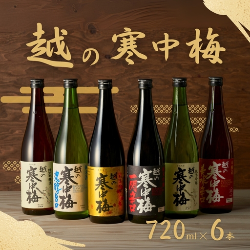 日本酒 越の寒中梅 6種類飲み比べセット 720ml×6本 淡麗辛口 新潟銘醸