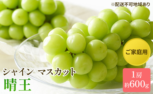 ぶどう 2026年 先行予約 ご家庭用 シャイン マスカット 晴王 約600g×1房 岡山県産 シャインマスカット