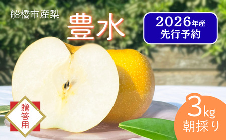 [2026年産先行予約][贈答用]果汁たっぷりの極上梨「豊水・3kg」6〜9玉 千葉県 船橋市産