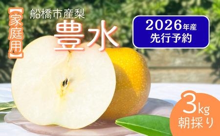 [2026年産先行予約][家庭用]果汁たっぷりの極上梨「豊水・3kg」6〜9玉 千葉県 船橋市産