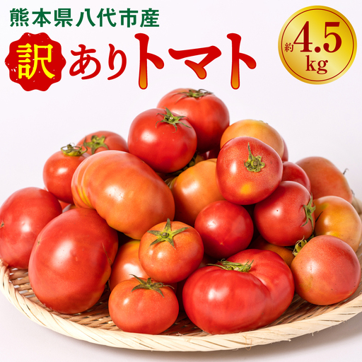 トマト 【先行予約】 訳ありトマト 約4.5kg 【2027年4月中旬より順次発送】 トマト