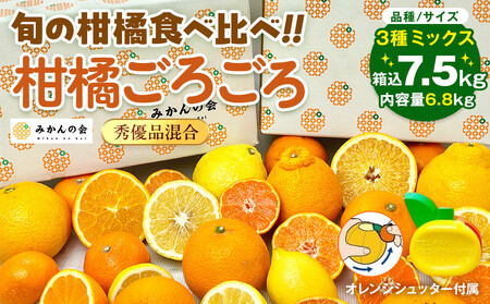 旬の柑橘食べ比べ 柑橘ごろごろ 3種 箱込 7.5kg(内容量約 6.8kg) 秀品 優品 混合 和歌山県産 産地直送【みかんの会】