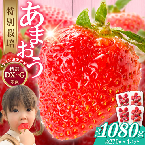 福岡県産【特別栽培】サイズおまかせ（DX～G等級）完熟あまおう　270g×4パック_福岡県産 特別栽培 完熟 あまおう 270g × 4パック サイズおまかせ DX～G等級 国産 苺 濃厚 ジューシー 甘い 果実 果肉 土耕栽培 フルーツ 果物 お取り寄せ お取り寄せフルーツ デザート おやつ ストロベリー 食品 九州 福岡県 久留米市 送料無料 〔Fi056〕