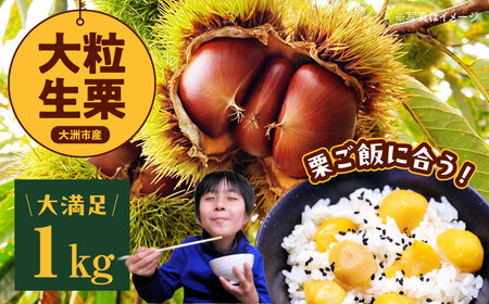 栗 [2026年9月下旬から順次発送] 大粒生栗 1kg[AGAE009]