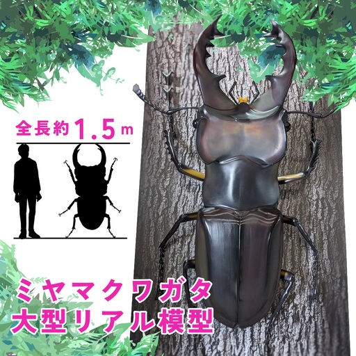 ミヤマ クワガタ 大型 リアル 模型 クワガタ 昆虫 おもちゃ 飾り（透明ケース付）