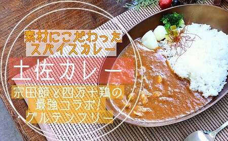 土佐カレー 5食 セット カレー カレー カレー カレー カレー [1595-2]