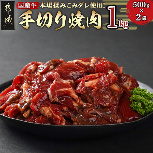 本場揉みこみダレ使用!国産牛手切り焼肉1kg〔AA-3610〕_(都城市) 国産牛 焼肉 バラ ロース 肩ロース タレ漬 500g×2袋 1kg