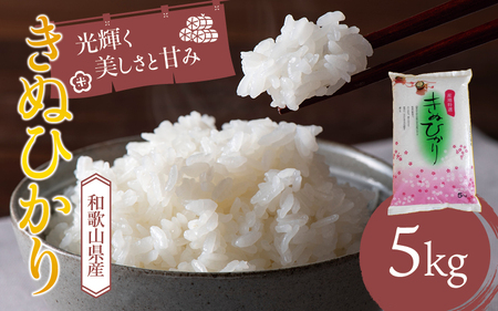 和歌山県産 キヌヒカリ 5kg(2024年産)  産地直送 米 こめ ご飯 ごはん 【sml101D】