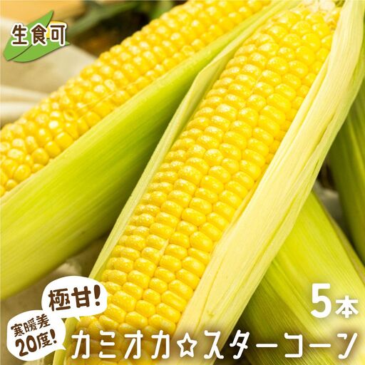 《再入荷》まるでフルーツ!とうもろこし [カミオカ☆スターコーン]  5本 /とうもろこし[CG002_26]