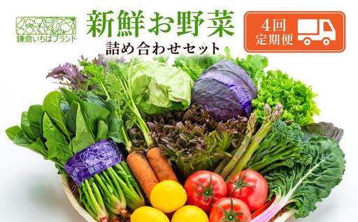 [3ヶ月毎計4回 定期便]四季を味わえる「鎌倉いちばブランド」新鮮お野菜詰め合わせセット 