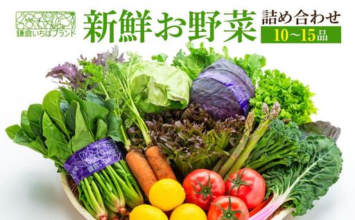 「鎌倉いちばブランド」新鮮お野菜詰め合わせセット 10～15品 | 野菜 人気 詰合せ