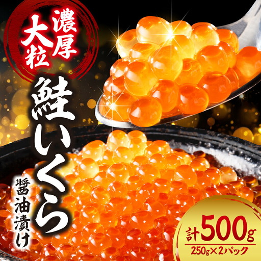 濃厚・大粒！鮭いくら醤油漬け500ｇ（250ｇ×2） 小分けいくら