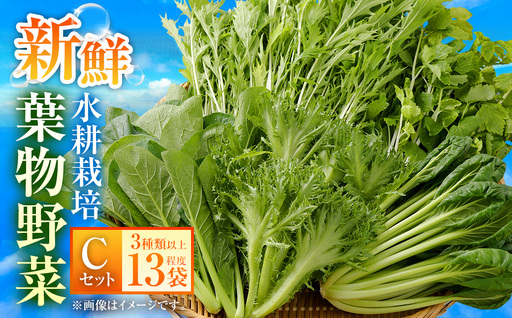 水耕 栽培 新鮮 葉物 野菜 Cセット GreensFarm ホタル サラダ 和え物 M10S101【2026年11月上旬～2027年6月上旬発送予定】