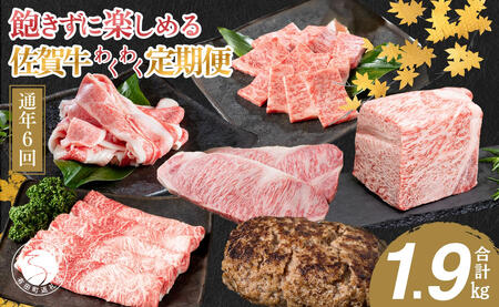 [偶数月にお届け!]佐賀牛 定期便 通年6回コース 牛肉 黒毛和牛 極上の佐賀牛 カルビ焼肉 ロースブロック バラスライス ロースステーキ しゃぶしゃぶ ハンバーグ 厳選 お肉 おにく ギフト プレゼント 贈り物 N120-13