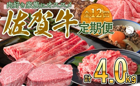 [定期便♪翌月から12ヶ月連続お届け☆] 佐賀牛定期便 12回コース 牛肉 しゃぶしゃぶ ローストビーフ カルビ ヒレステーキ ハンバーグ 切り落とし すき焼き 黒毛和牛 極上の佐賀牛 お肉 N240-5
