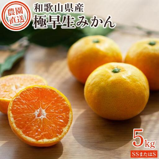 極早生みかん 約5kg 小粒SS・Sサイズおまかせ 《赤秀》 和歌山県産 農園直送 まごころ産直みかん 【10月中旬より発送開始】【北海道・沖縄県・一部離島 配送不可】小玉 贈答 ［Mg16］