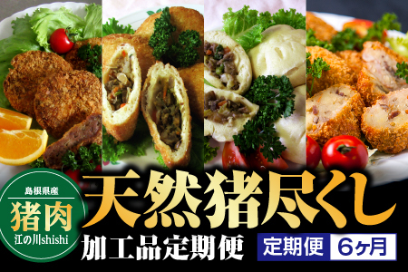 [定期便6回]天然猪尽くし加工品定期便 猪 猪肉 お肉 肉 国産 猪肉加工品 加工品 お惣菜 定期便 6回 EK-7