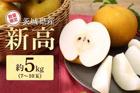 [数量限定 / 夏季限定] 梨(新高)約5kg 梨 なし ナシ 日本梨 にいたか ニイタカ 17-Y [9月中旬以降発送予定]