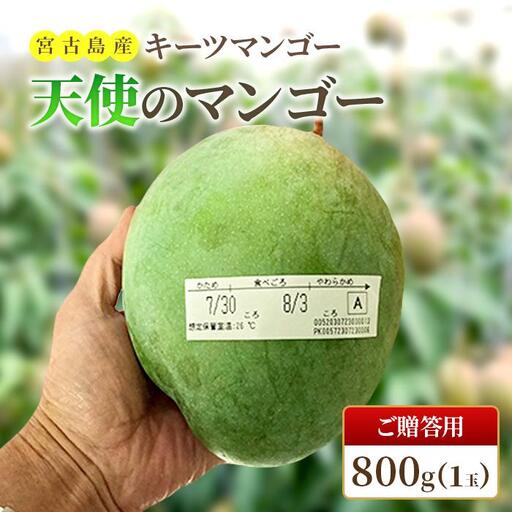 [先行予約 2027年発送] 『天使のマンゴー』宮古島産キーツマンゴー 約800g(1玉)ご贈答用「LA MANGUE BLEUE」農家直送