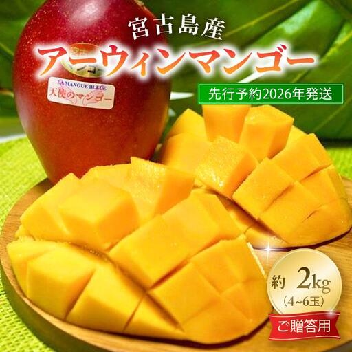 [先行予約2027年発送]『天使のマンゴー』宮古島産アーウィンマンゴー 2kg(4〜6玉)[ご贈答用]「LA MANGUE BLEUE」農家直送