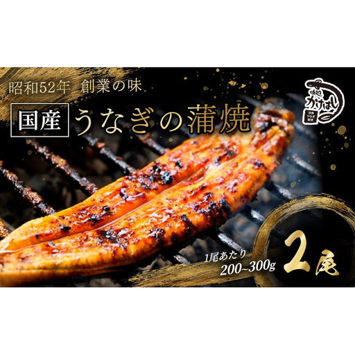 昭和52年創業の味 手焼き 国産うなぎ 蒲焼き 2尾 1尾あたり 200～300g 国産 鰻 美味しい 職人仕上げ ふっくら肉厚 タレ付き 冷凍発送 ギフト 贈答用 お取り寄せ グルメ ご飯のお供 九州 福岡 老舗の味