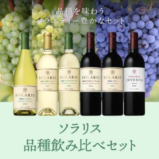ソラリス 品種飲み比べセット ワインセット ワイン 赤ワイン 白ワイン シャルドネ 辛口ワイン ソーヴィニヨン メルロー スパイシー タンニン