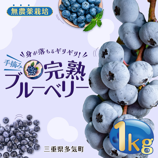 無農薬栽培 手摘み完熟ブルーベリー1kg 果物 くだもの フルーツ 完熟 手摘み ブルーベリー ジャム ピューレー スムージー シロップ 国産 農薬無使用 おいしい ビタミン 食物繊維 ミネラル 三重県 多気町 FR-03