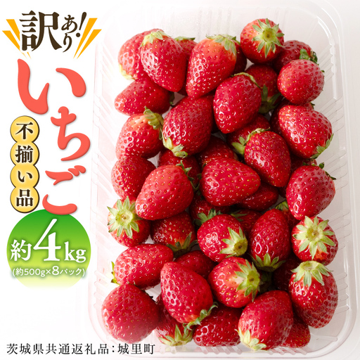 【訳あり】いちご 4kg【1月から発送開始】 （茨城県共通返礼品 [いちご]：城里町産）  フルーツ 果物
