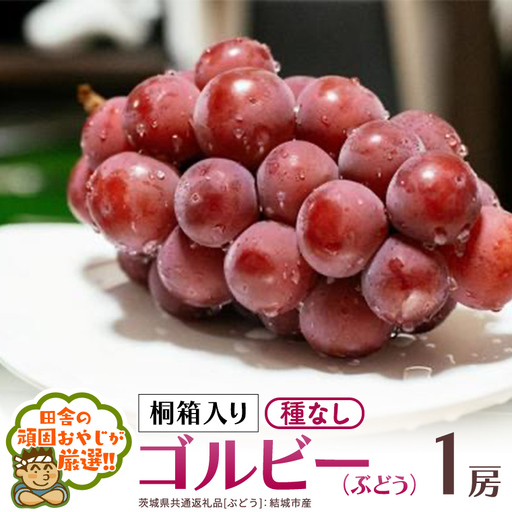 [ 桐箱入り ]ゴルビー ( ぶどう ) 1房 [2026年9月から発送開始](茨城県共通返礼品 [ぶどう]:結城市産)