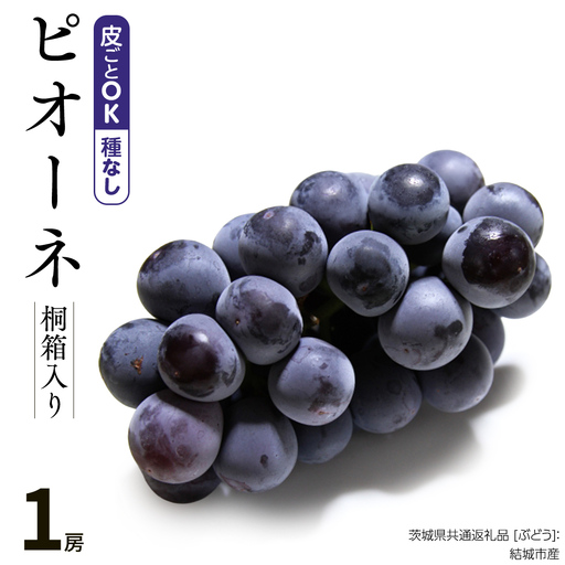 【 桐箱入り 】ピオーネ（ ぶどう ） 1房 【2026年8月から発送開始】（茨城県共通返礼品 [ぶどう]：結城市産） ギフト 贈答 フルーツ 果物
