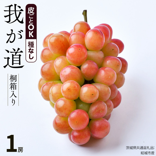 【 桐箱入り 】我が道 （ ぶどう ） 1房 【2026年9月から発送開始】（茨城県共通返礼品 [ぶどう]：結城市産）  ギフト 贈答 フルーツ 果物