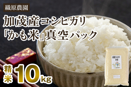 【令和8年産新米先行予約】新潟産コシヒカリ「かも米」精米10kg（5kg×2袋）《10月中旬～順次出荷》 【無農薬・無化学肥料】 白米真空パック