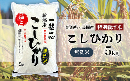 48-8M051【無洗米】新潟県長岡産特別栽培米コシヒカリ5kg