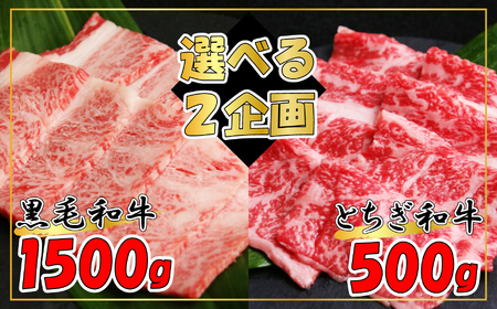 栃木和牛 切り落とし 500g