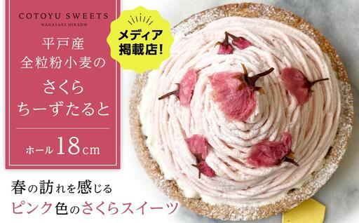 [先行予約][春を感じる大人スイーツ]平戸産全粒粉小麦のさくらちーずたると 1ホール(18cm) / 心優 -Cotoyu Sweets-