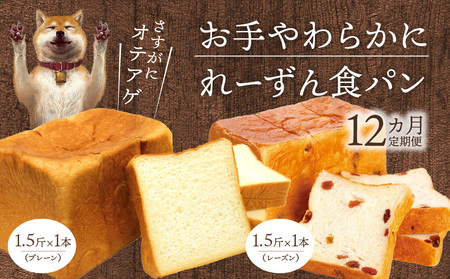 [定期便]お手やわらかに1.5斤1本&れーずん1.5斤1本/12ヵ月 定期便 12回 食パン 食べ比べ パン プレーン レーズン セット