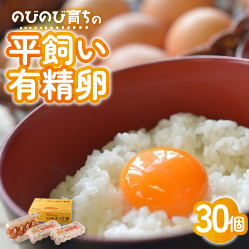 のびのび育ち平飼い「有精たまご」卵30個 卵