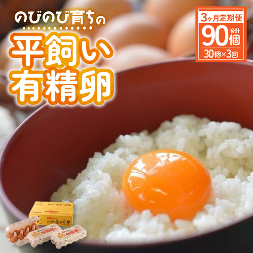 有精卵のコケコッコーの卵 90個【3ヶ月定期便】