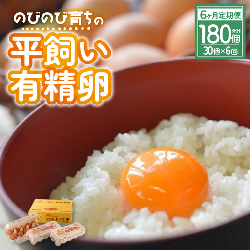 [卵 定期便6回]平飼い「有精たまご」卵30個