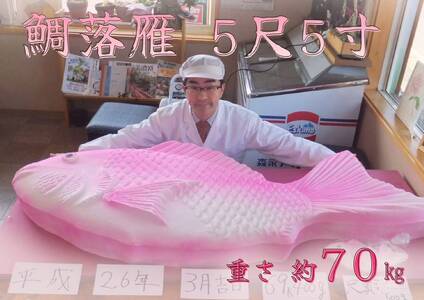 発送不可!超巨大!日本一?の大きさの鯛の落雁 和菓子工房 松栄堂 のおいしい落雁を5尺5寸の大きさで!