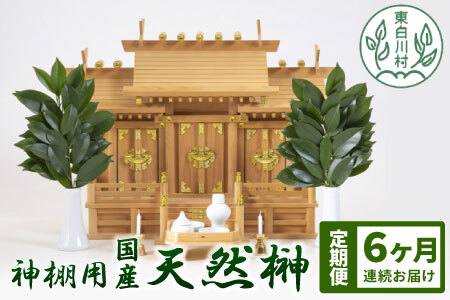 【定期便・全6回】 神棚用 国産榊 さかき 2束 6ヶ月連続でお届け お供え お祀り 国産 天然 新鮮 長持ち 天然榊 26000円