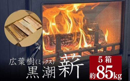 [ 薪 ] 5箱 約85kg コース 薪 乾燥薪 黒潮薪 まき [1605-2]