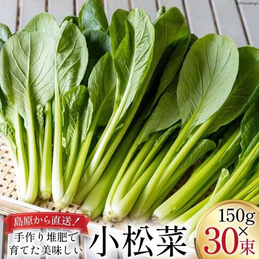 CH014 小松菜 150g×30束