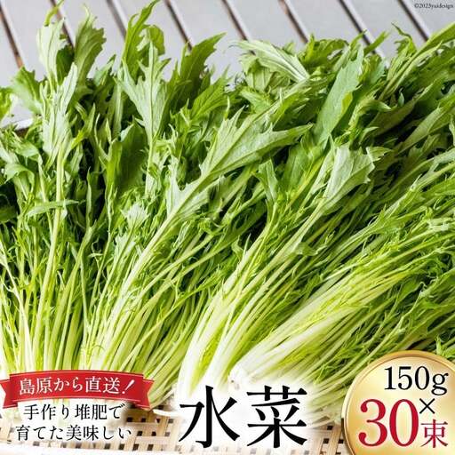 CH017 水菜 150g×30束