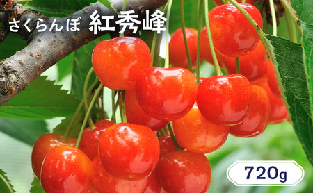 さくらんぼ 720g 紅秀峰 サクランボ