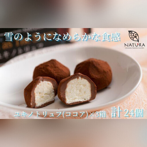 チョコレート ショコラトリュフ ココア スイーツ 生洋菓子 新潟県 南魚沼市 ナトゥーラ 濃厚ひんやり ユキノトリュフ 計3箱 | スイーツ