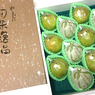 【令和8年産先行予約】 【市農業祭最優秀賞受賞者】 ラ・フランス 約5kg (8～12玉 特選 5～6L) 《令和8年11月上旬～発送》 『長谷部農園』 洋梨 梨 果物 フルーツ 山形県 南陽市 [1098]