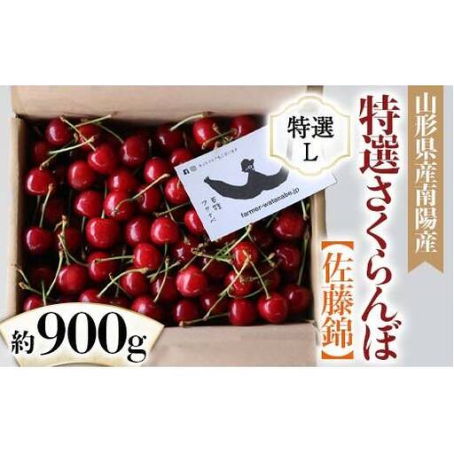 【令和9年産先行予約】 さくらんぼ 「佐藤錦」 約1kg （特選 L玉） バラ詰め 《令和9年6月中旬～発送》 『最上園』 サクランボ 果物 フルーツ 産地直送 山形県 南陽市 ［1334］