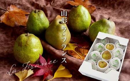 【令和8年産先行予約】 ラ・フランス 化粧箱入 約3kg (8～12玉 秀 L～2L) 《令和8年11月下旬～発送》 『Yamagataうまいな中村屋』 ラフランス 西洋梨 洋なし 梨 果物 フルーツ 山形県 南陽市 [1742]